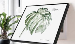 末世女主有植物宠物的小说 植物宠物店创业方案